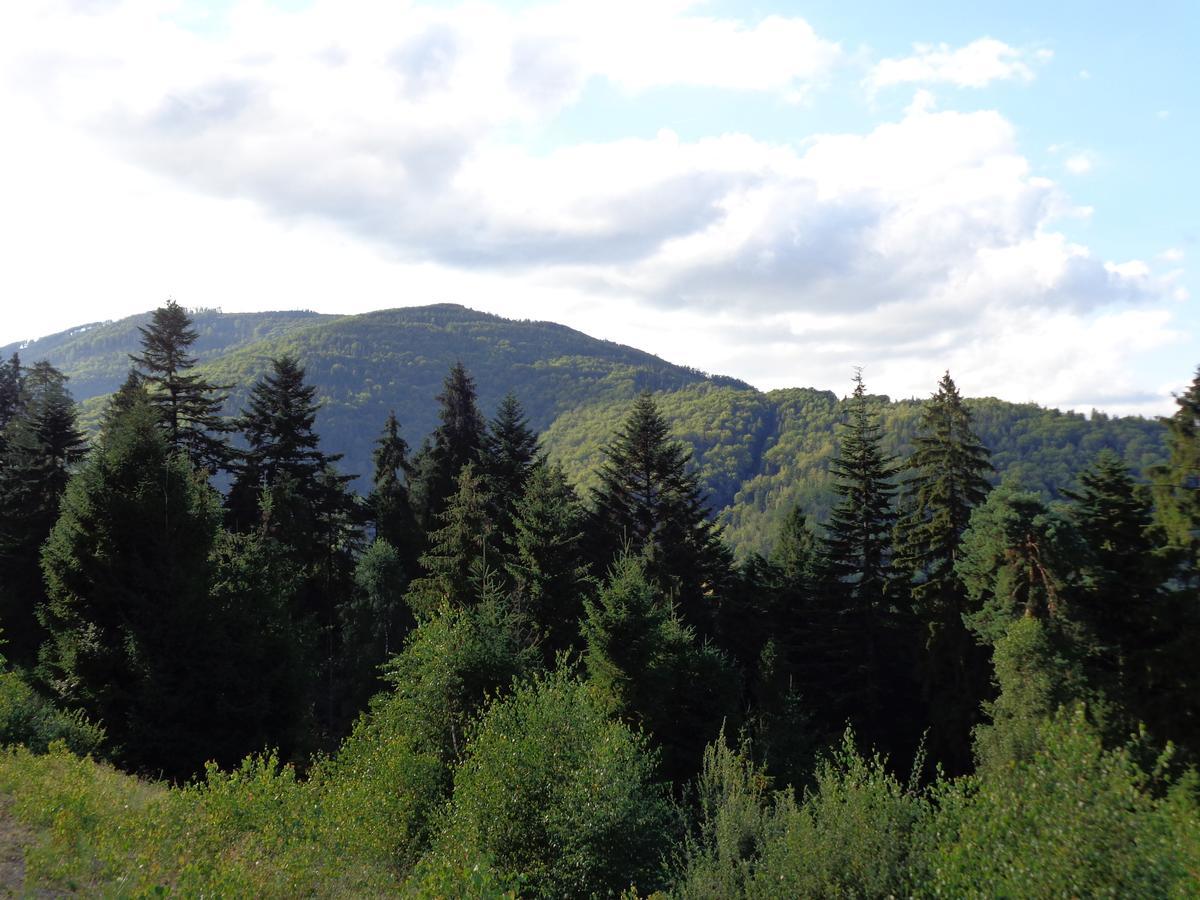 Kwiatowe Zacisze Villa Щирк Екстериор снимка